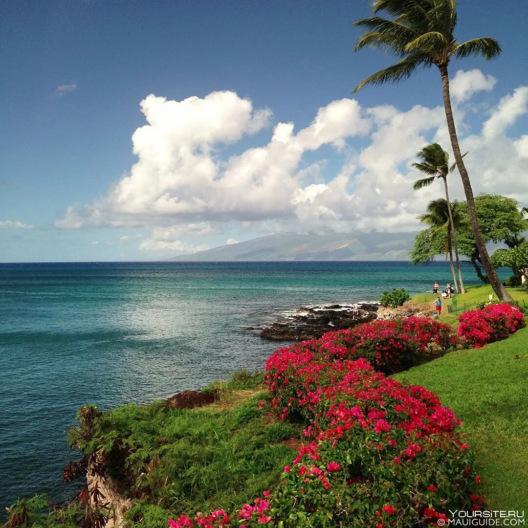 Tinder couple whose 3 years of messages went viral enjoy first date in Hawaii - 