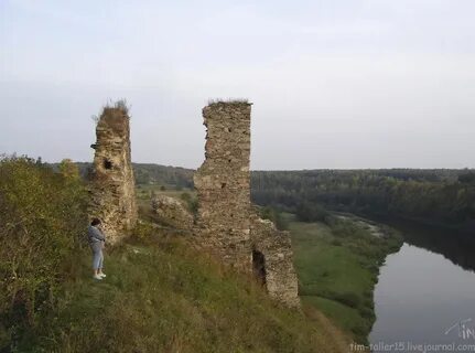 Губков