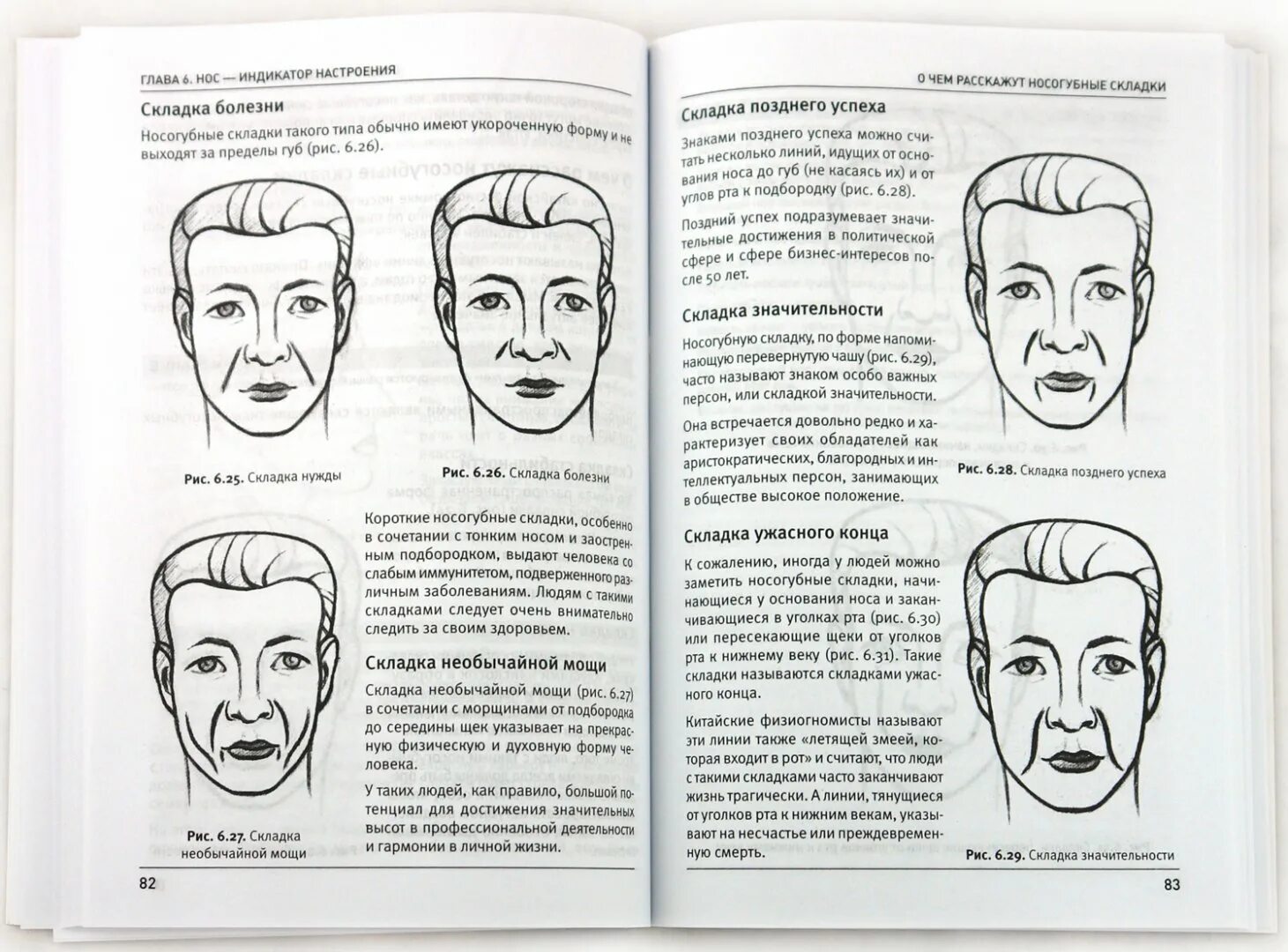 Лоб характер. Физиогномика. Физиогномика лица. Чтение по чертам лица. Характер по чертам лица.