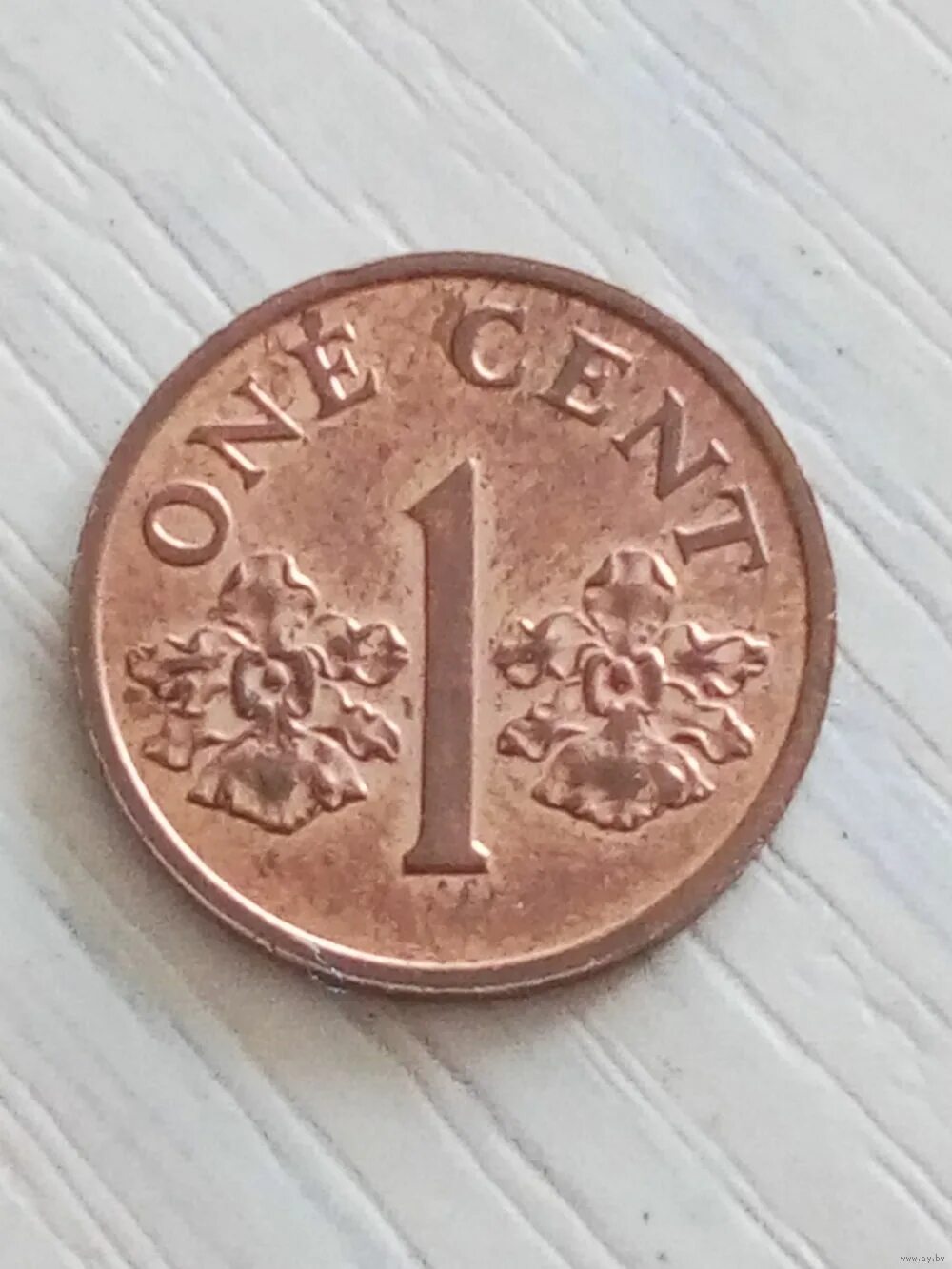 1 cent. Один цент. Цент монета. Один цент монета. Монеты изображения цент.