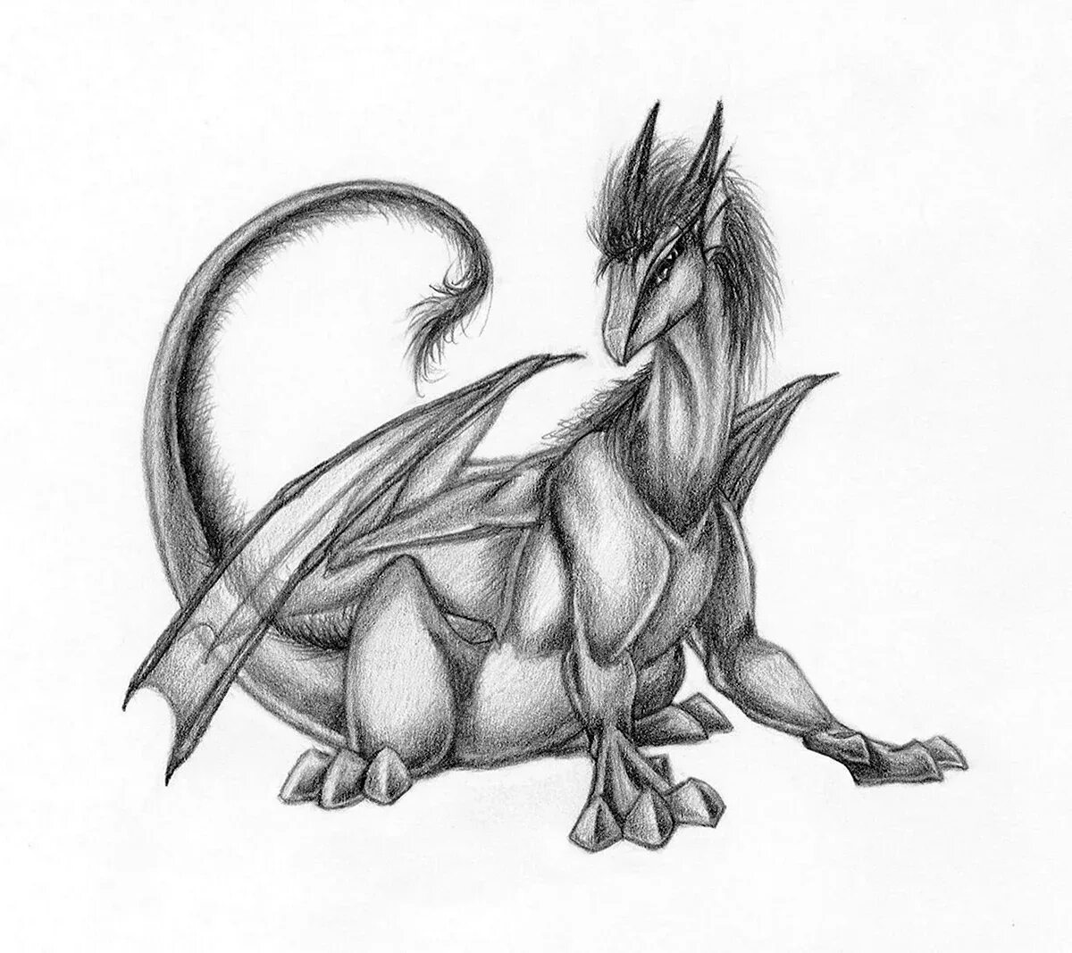 Карандашные наброски дракон. Дракон рисунок карандашом. Dragonsandbeasties драконы. Дракончик полимерная глина. Рисунок дракона для срисовки.
