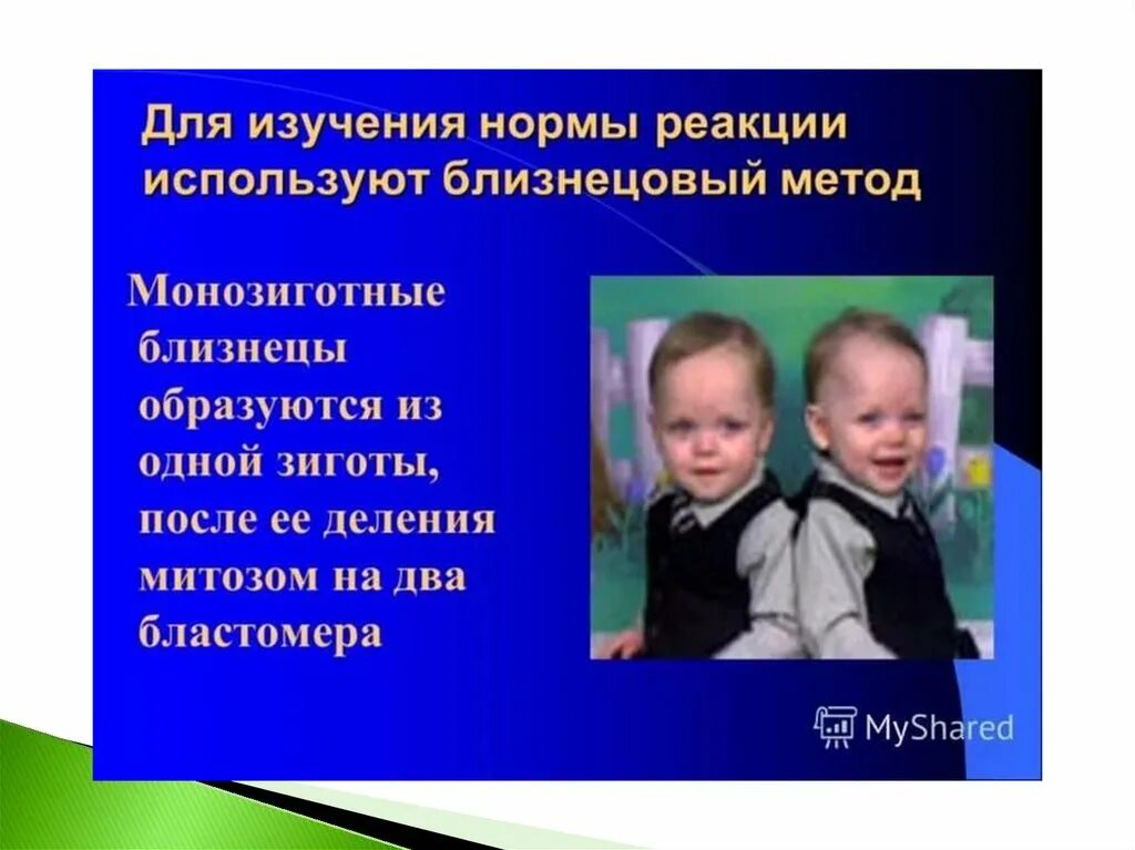 Что является недостатками близнецового метода изучения генетики. Презентация на тему близнецовый метод. изменчивость близнецов. методы изучения модификационной изменчивости близнецовый. изменчивость человека фото.