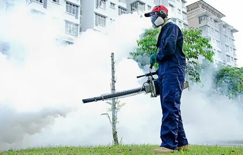 Fogging yard
