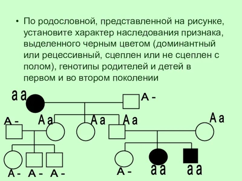 Родословная биология 11 класс. Х сцепленный рецессивный Тип наследования. Генеалогический метод доминантное наследование. Родословная с заболеваниями по генетике. Родословная по биологии наследование признаков цвет глаз.