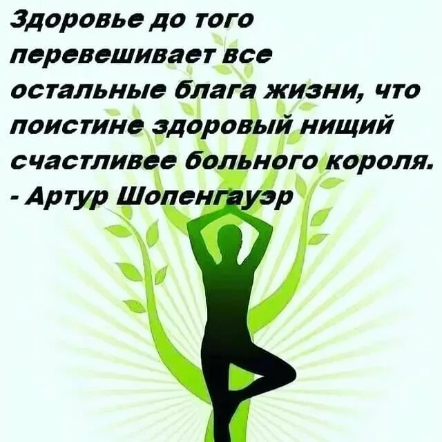 Высказывания о здоровье. Красивые высказывания о здоровье. Цитаты о здоровье высказывания. Афоризмы про здоровье