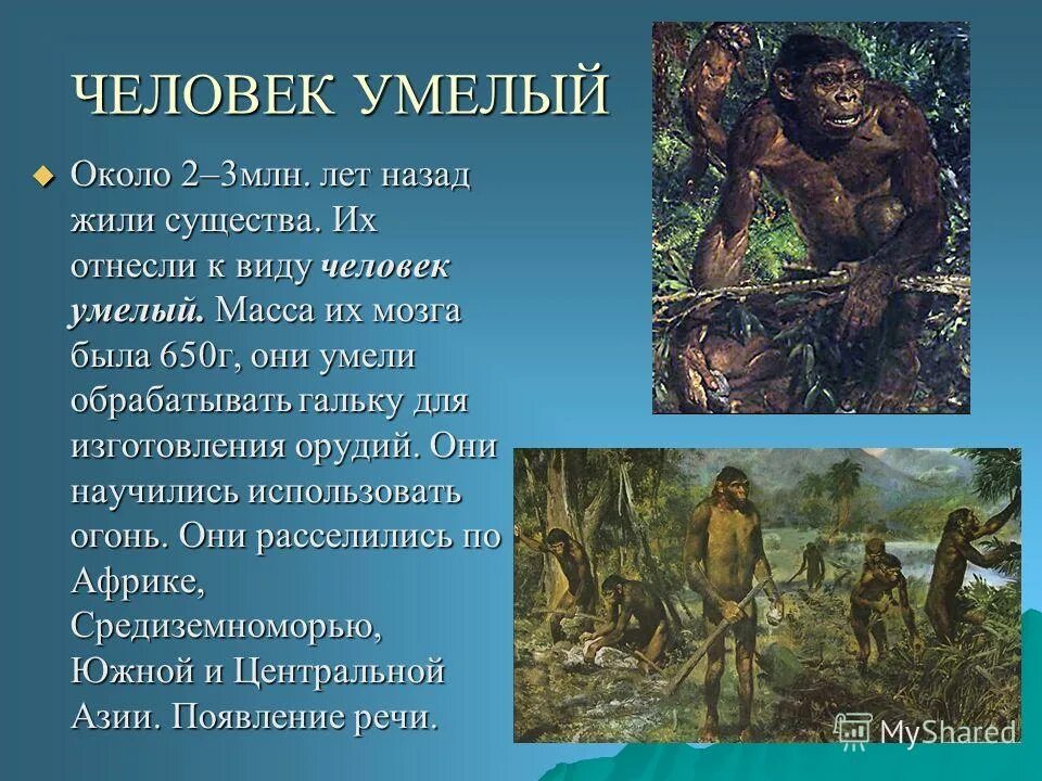 Человек умелый где жили. Человек умелый. Человек умелый презентация. Первые люди на земле презентация.