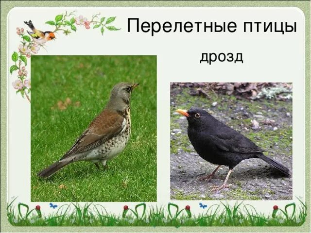 Описание в отпуске. Вернется через неделю.