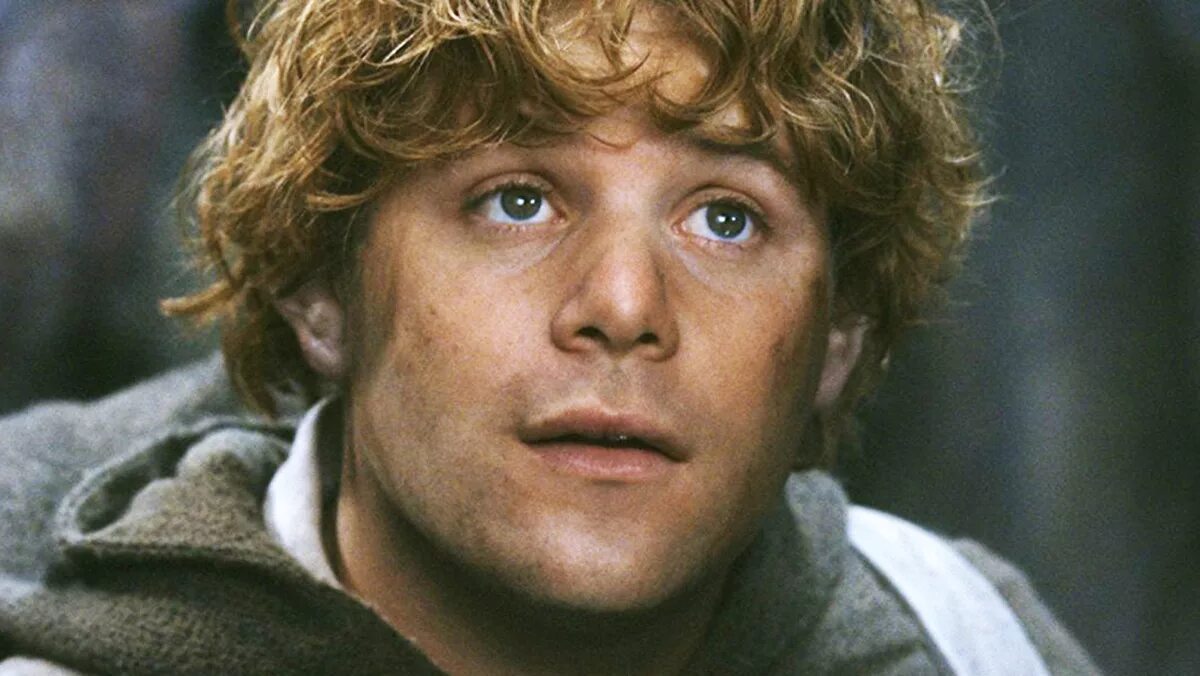 Шон эстин хоббит. Сэмуайз гэмджи. Хоббит сэмуайз гэмджи. Шон эстин хоббит. Сэм гэмджи властелин колец.