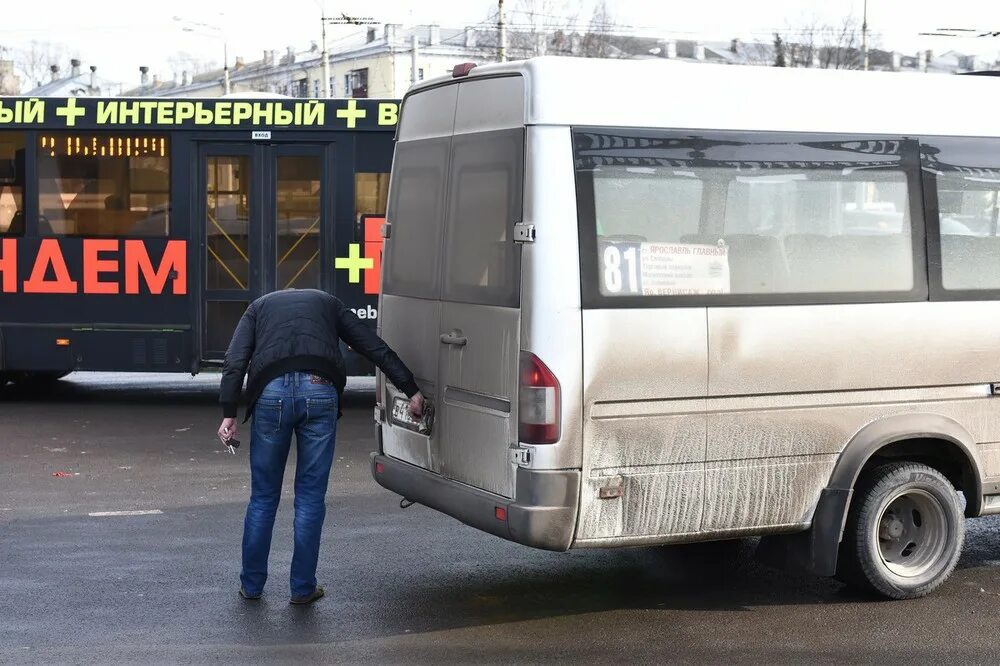 Большая маршрутка ярославль. Электробус жёлтый. Вакансии ярославль автобус. Общественный транспорт ярославль. Большая маршрутка.