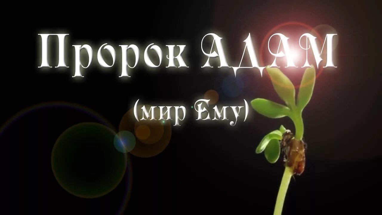 Пророк найди мою руку. Пророк найди мою руку