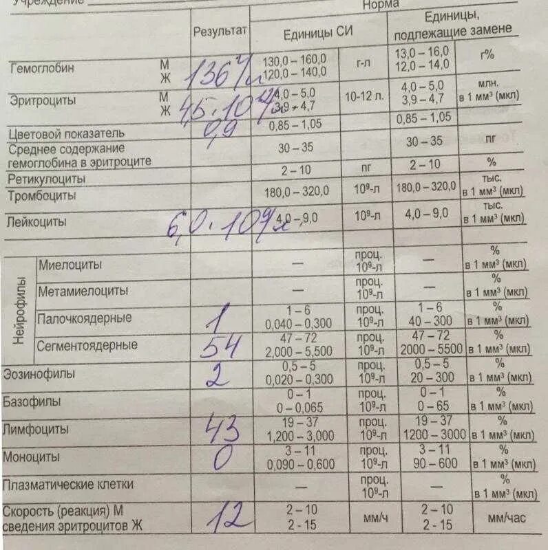 Лейкоз по крови показатели у детей. ОАК при лейкоз показатели крови. Моноциты при лейкозе у детей показатели. Показатели клинического анализа крови при лейкозах.