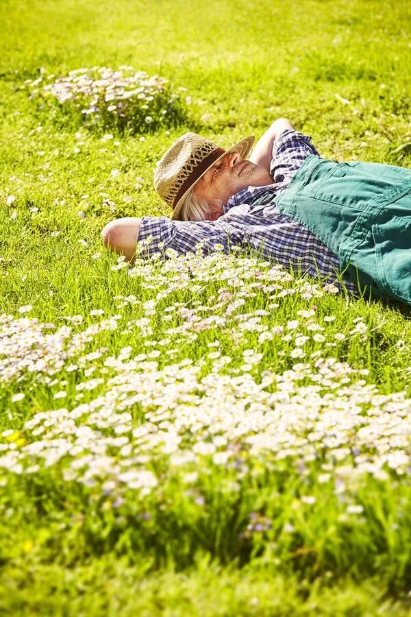 Is sleeping in the garden. Луг во сне. Садовник лежит. Сонный садовник. Луг садовник.