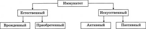 Определите вид иммунитета