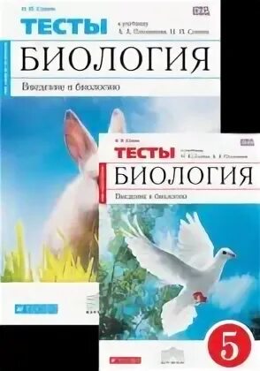 Н и сонина 5 класс