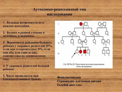 Отрасль генетика