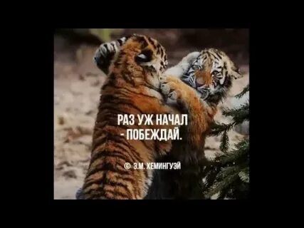 Если начал побеждай
