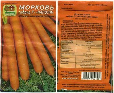 Характеристика моркови сорта
