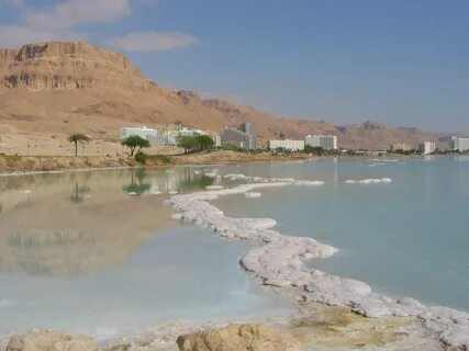 Dead sea игра