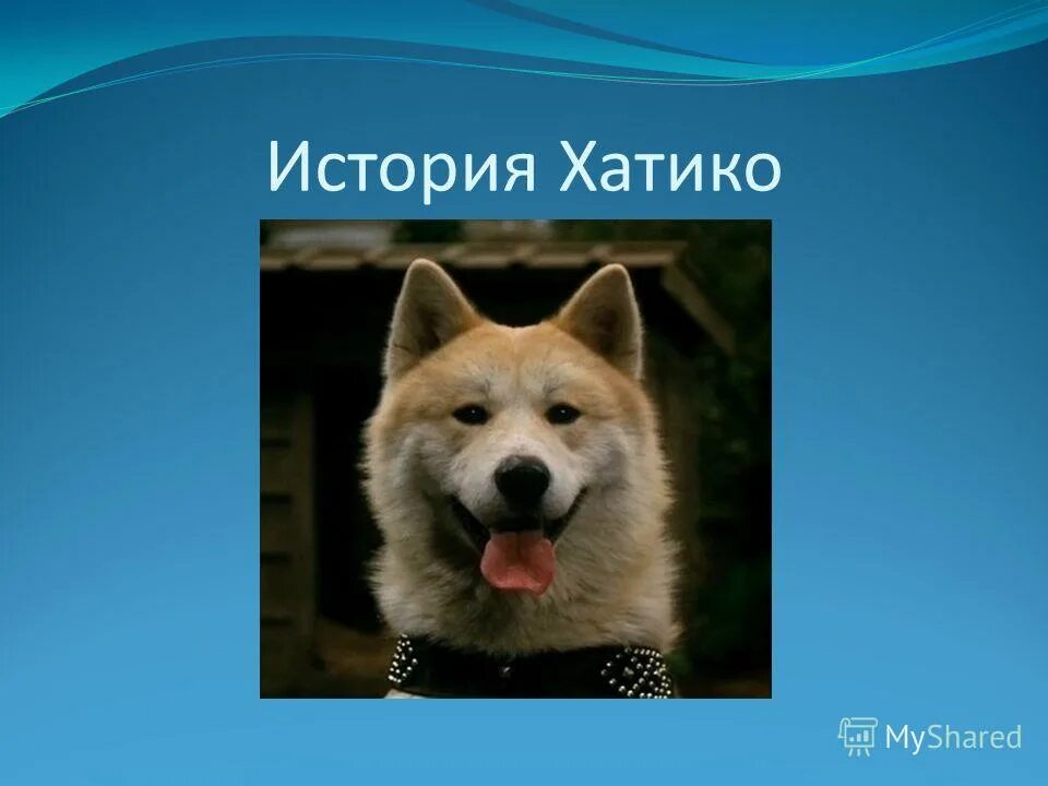 хатико самый верный друг памятник. хатико 1923. история про хатико. история про хатико. история про хатико.