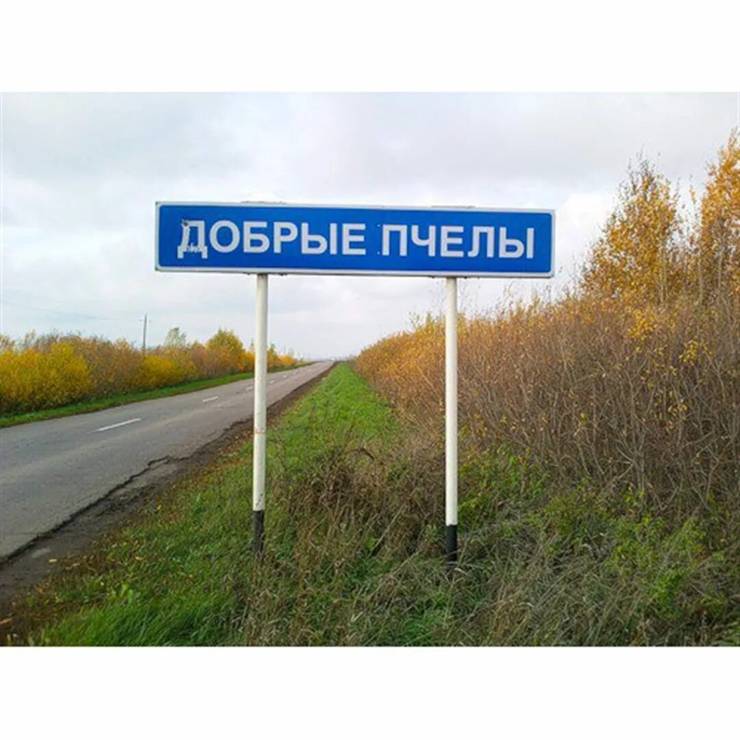 Значение названия деревни. Село добрые пчелы рязанской области. смешные названия населенных пунктов. смешные названия деревень. смешные названия сёл.