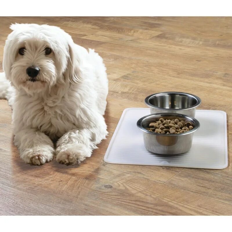 Dog bowl. Довольная собака с миской. Собачья миска с едой. Миска для собак. Интерактивная миска для собак.