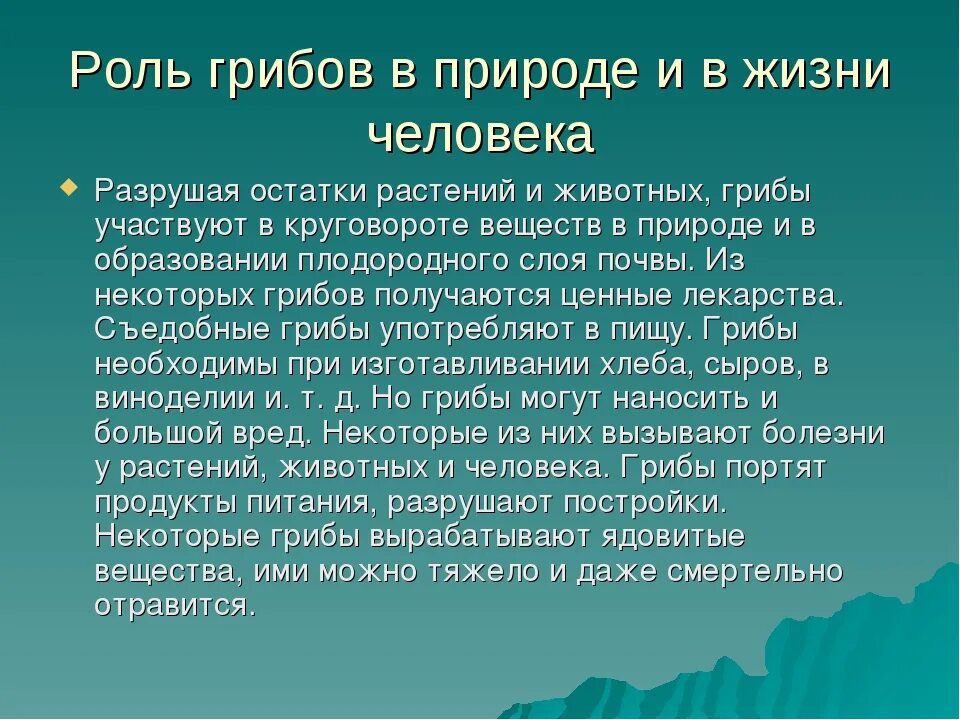 Роль грибов в жизни человека. Ррль грибовов в природе. Роль грибов в природе и жизни человека. Многообразие грибов их роль в природе и жизни человека.