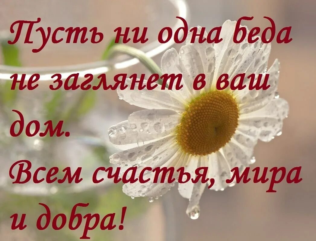 Пожелания про добро. С добрым утром с пожеланиями здоровья и счастья. Пожелания счастья и добра с утра.