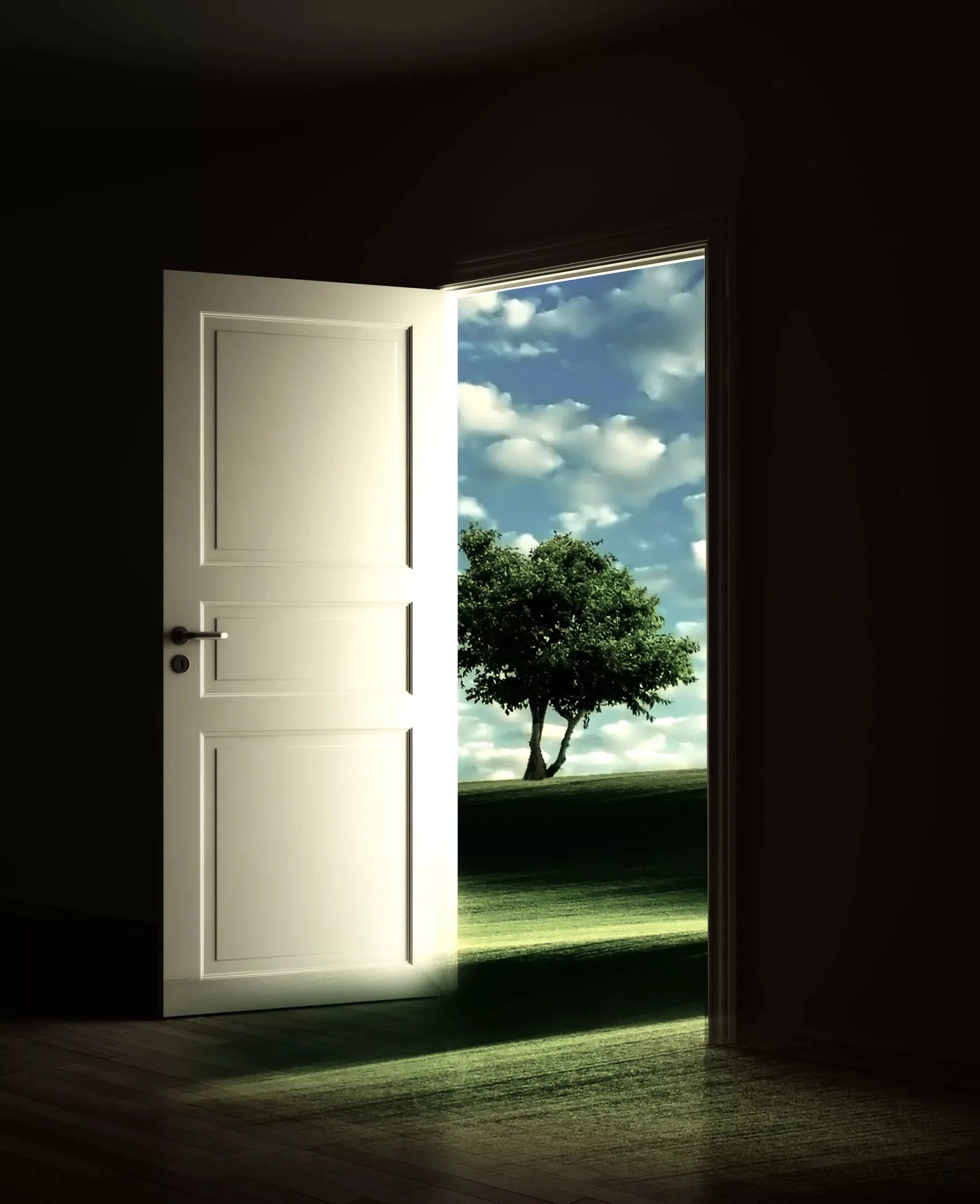 Организация открытые двери. Открытая дверь. Дверь открывается. Полуоткрытая дверь. Приоткрытая дверь.