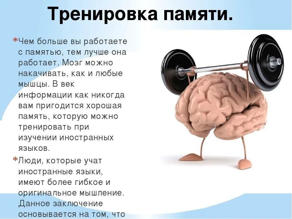 Тренировка памяти. Упражнения для мозга. Тренировка мозга и памяти. Тренируем память.