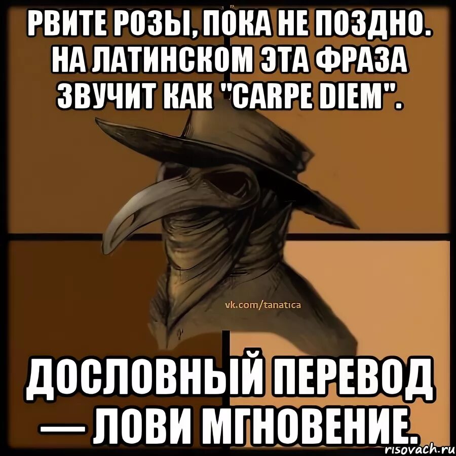 Эскизы надписи. Лови перевод. Рыбалка тихвин. Рвите розы пока не поздно на латыни общество мертвых. Рвите розы пока не поздно на латыни общество мертвых.