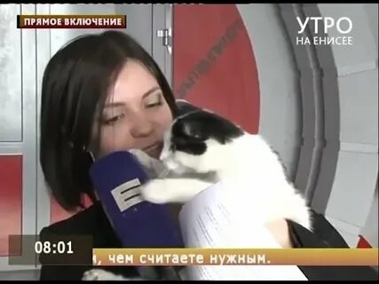 Помоги включить видео