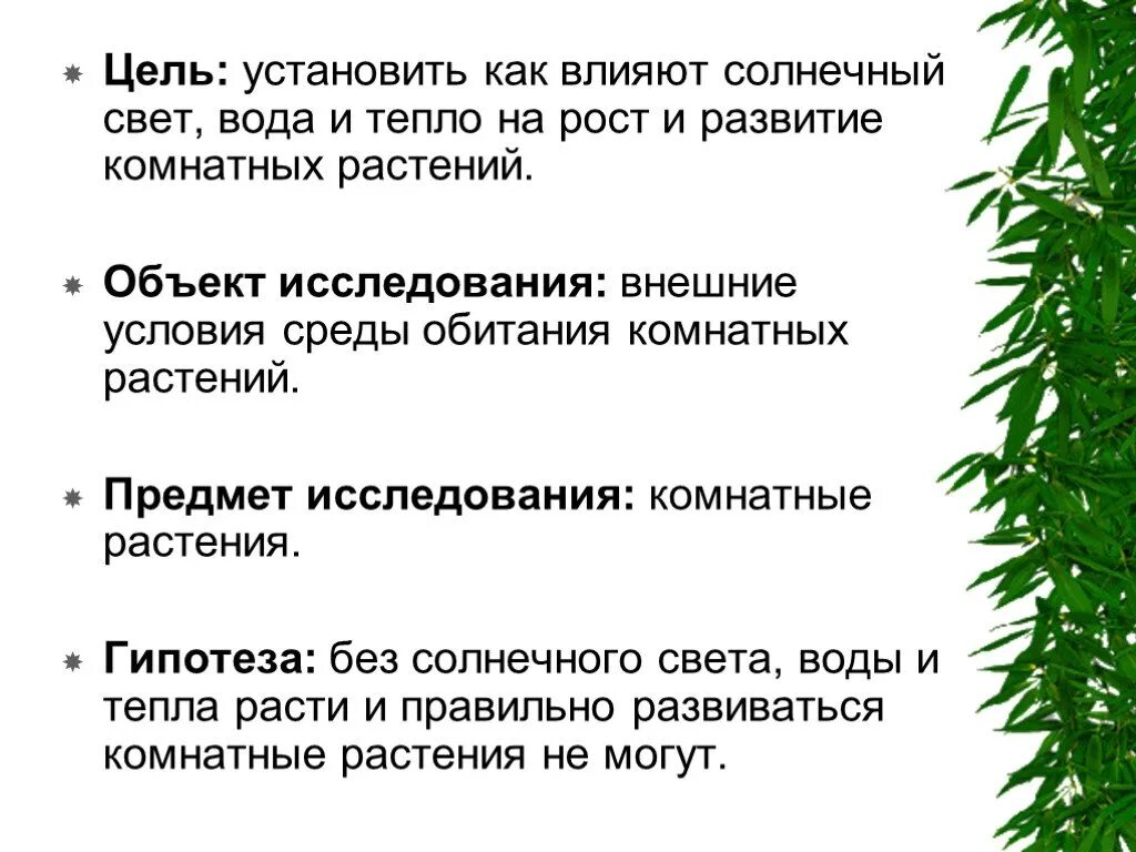 Света воздействие на воду. Влияние света на комнатные растения. Свет влияет на растения. Влияние условий на развитие растений. Влияние света на рост растений.