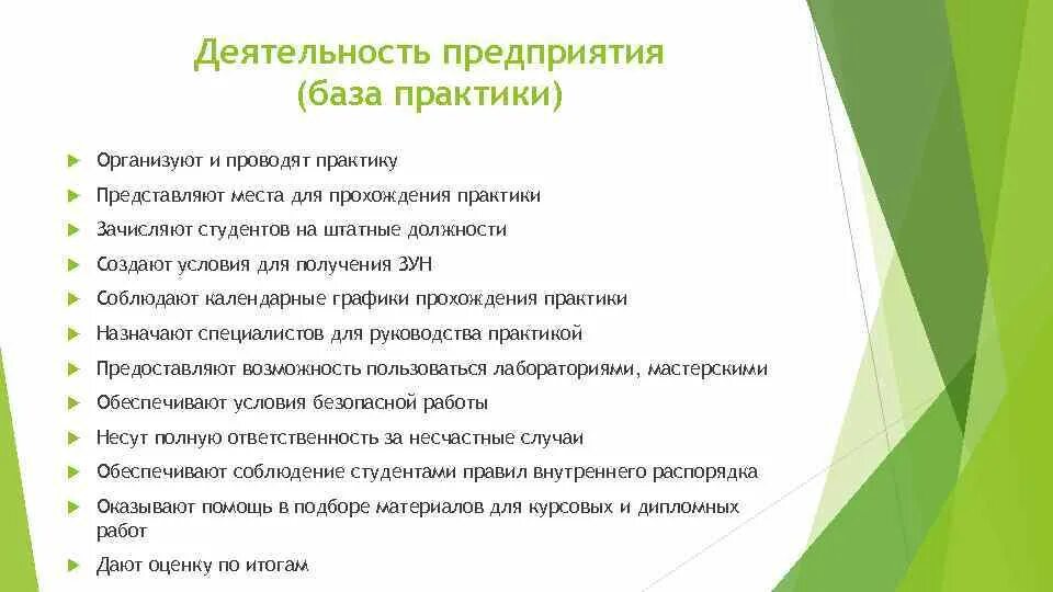 Организация деятельности базы практики