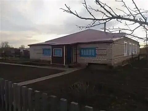 Погода комариха алтайского шипуновского