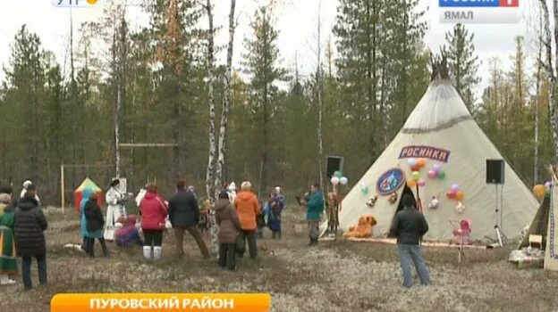 Сугмутско пякутинская община. Пур рыба тарко-сале. Ненцы заготавливают дрова. Школа интернат харампур. Репутация оао сельскохозяйственная община харампуровская.