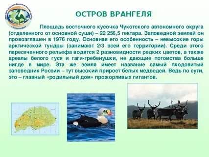 Открытие острова врангеля
