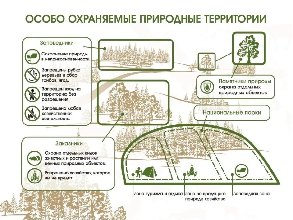 Особо охраняемые природные территории какие виды. Схема особо охраняемых природных территорий. Таблица по экологии особо охраняемые природные территории. Схему: «виды особо охраняемых природных территорий». Заполни схему особо охраняемые природные территории России.