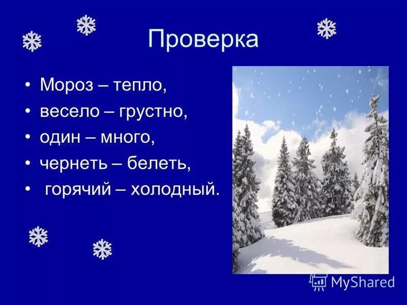 Проверочное слово к слову прорубь. Проверочное слово к слову заморозки. Близкие проверочное слово. Проверочные слова. Мороз проверочное слово к нему.
