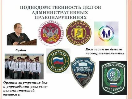 Административная это применение уполномоченным органом