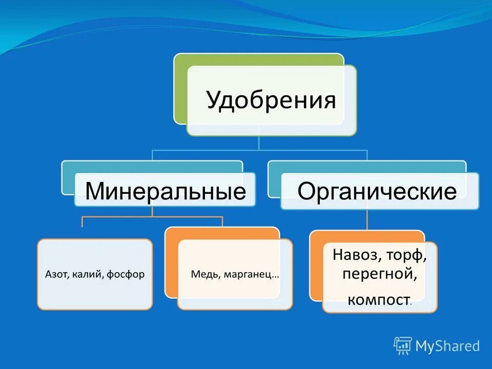 Органические и минеральные элементы