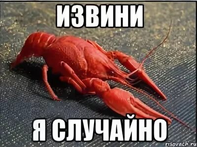 Извините я нечаянно