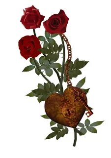 Шипы и розы