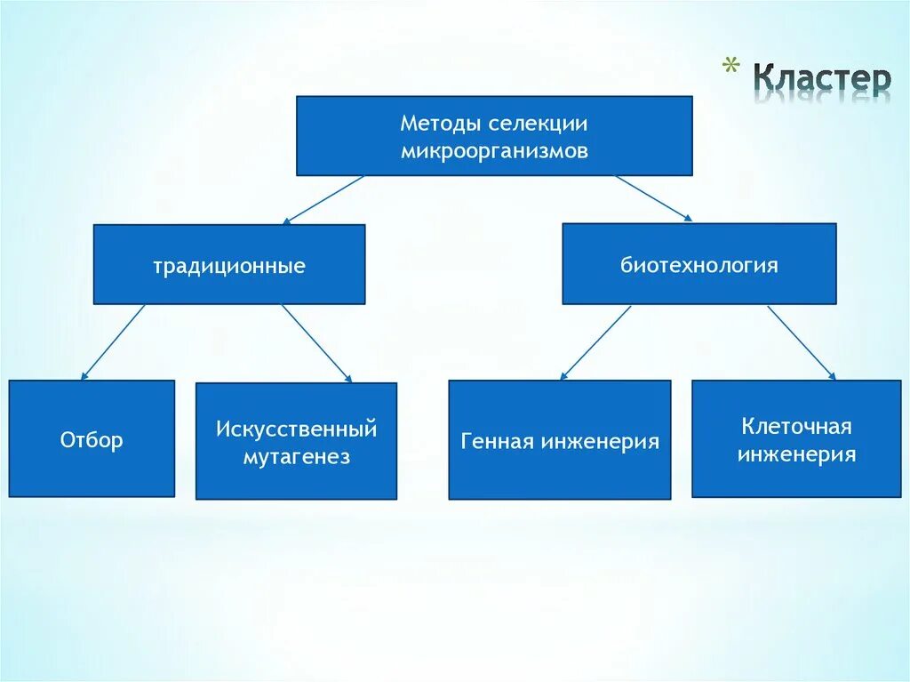 Какие методы относятся к методам селекции. Методы селекции микроорганизмов. селекция микроорганизмов искусственный отбор. методы селекции бактерий. метод селекции микроорганизмов.