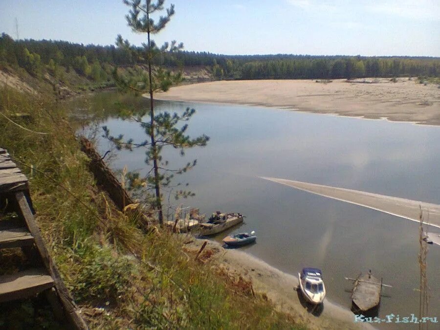 Уровень воды в реке чумыш. Костенково Кемеровская область Чумыш. Мартыново река Чумыш. Река Чумыш Кемеровская область Костенково.