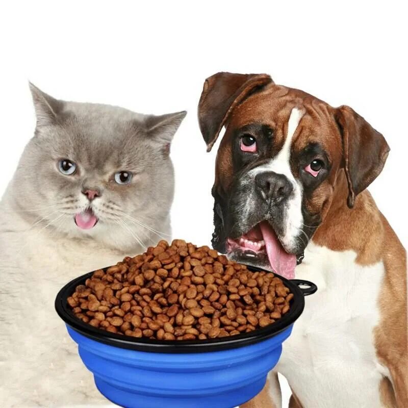 Кормление сухими кормами. Корм для животных. Корм для кошек и собак. Питание собак. Еда для кошек.