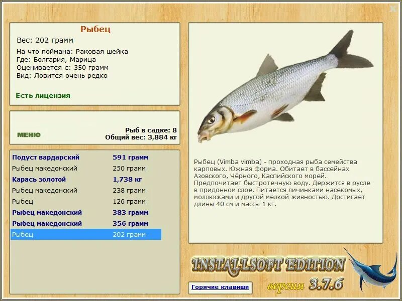 подуст и рыбец. рыбец донской вяленый. рыбец 64 сайт. рыбец цимлянский. рыбец реальная рыбалка.