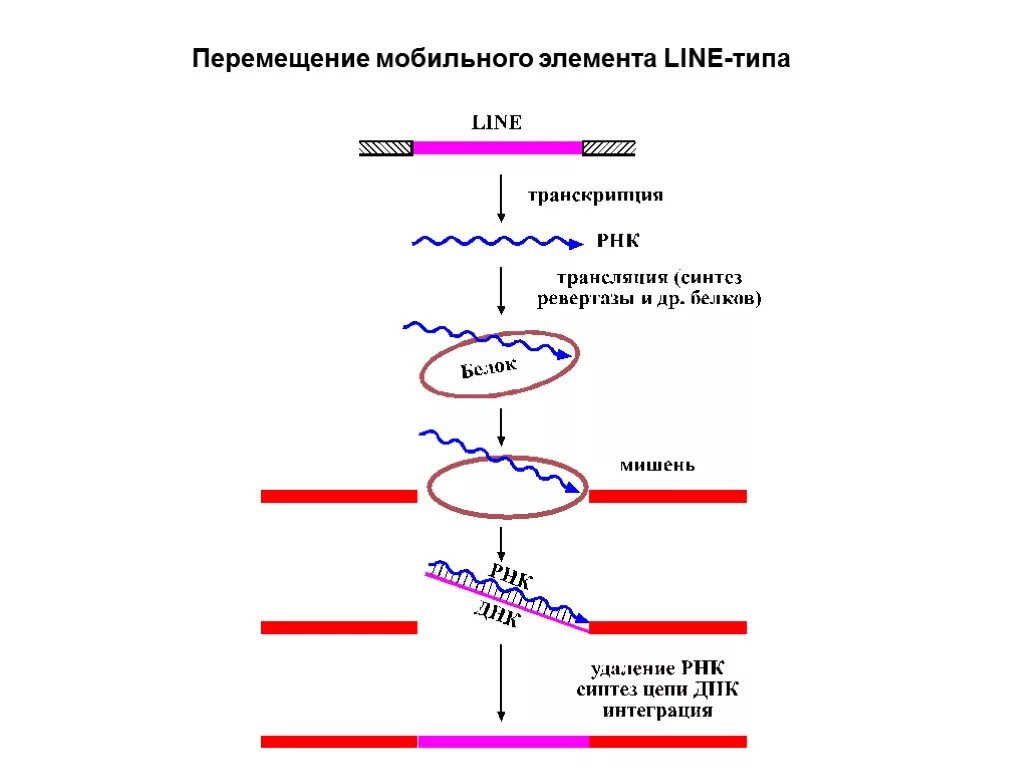 Перемещаться мобильно