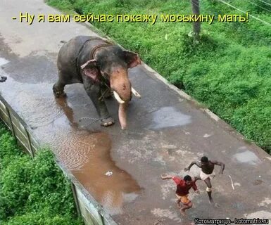 Открывать неожиданно