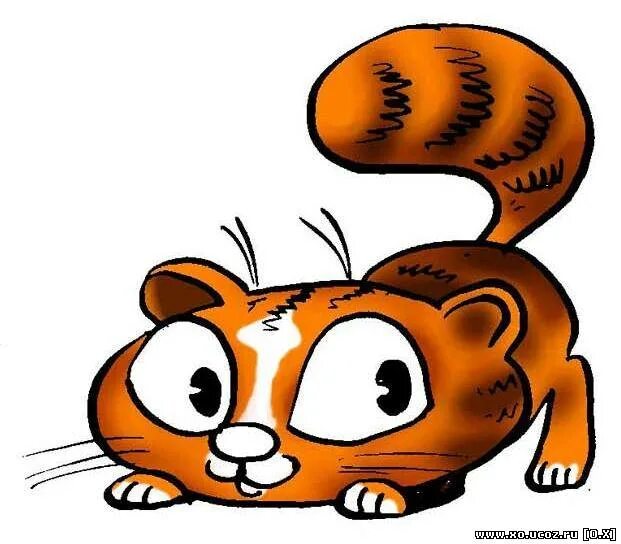 Рыжий котенок открытка. Рыжий котенок и цветы. Рыжий котик. Рыжий кот игрушки логотип. Год кота знак.