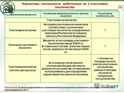 Типовые нормативы управления